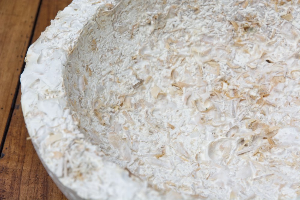 Mycelium packaging for cosmetics: close-up of the velvety, natural surface of a moulded mycelium insert